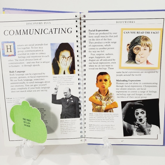 Discovery Bodyworks Interactive Human Body Book NW - Picture 5 of 11